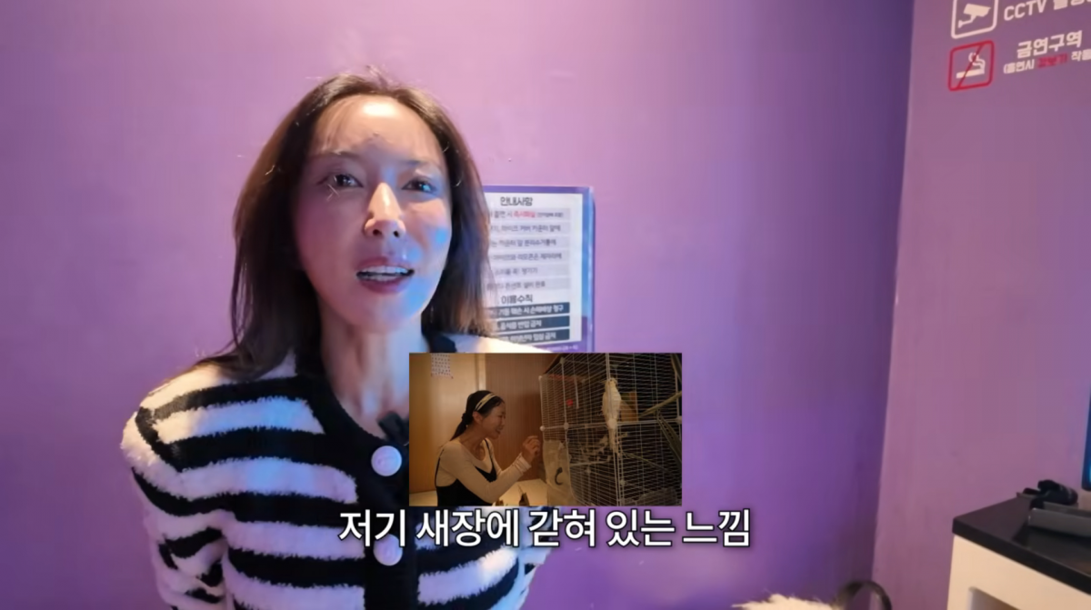 사진=슈 유튜브