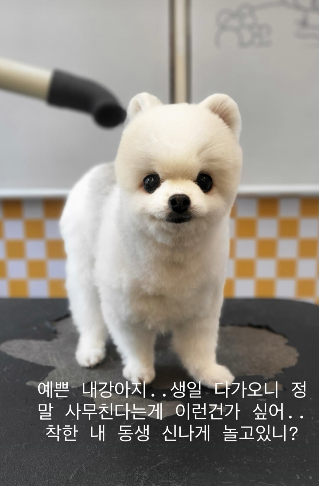 카라 한승연, 연휴 마지막날 무슨 일 "사무친다는 게 이런 건가"