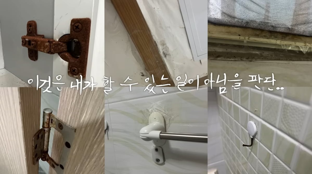 사진=박경혜 유튜브