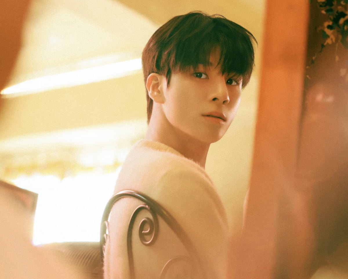 가수 정동원/사진 제공=쇼플레이엔터테인먼트