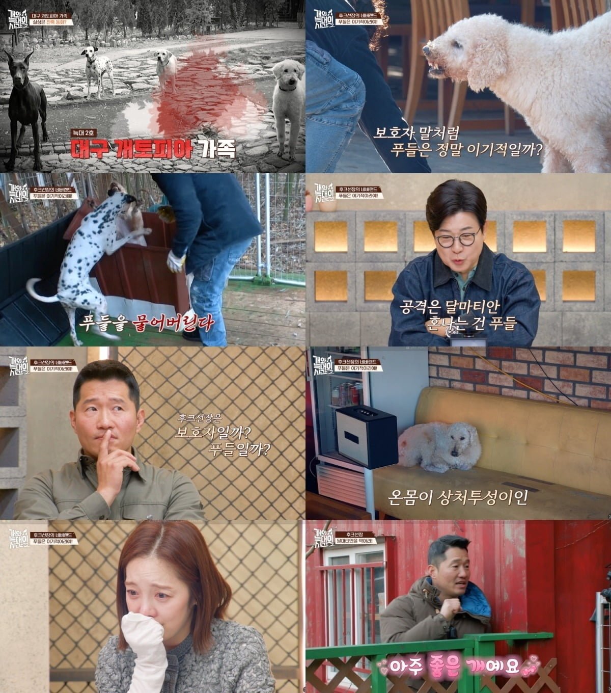 사진='개와 늑대의 시간2'