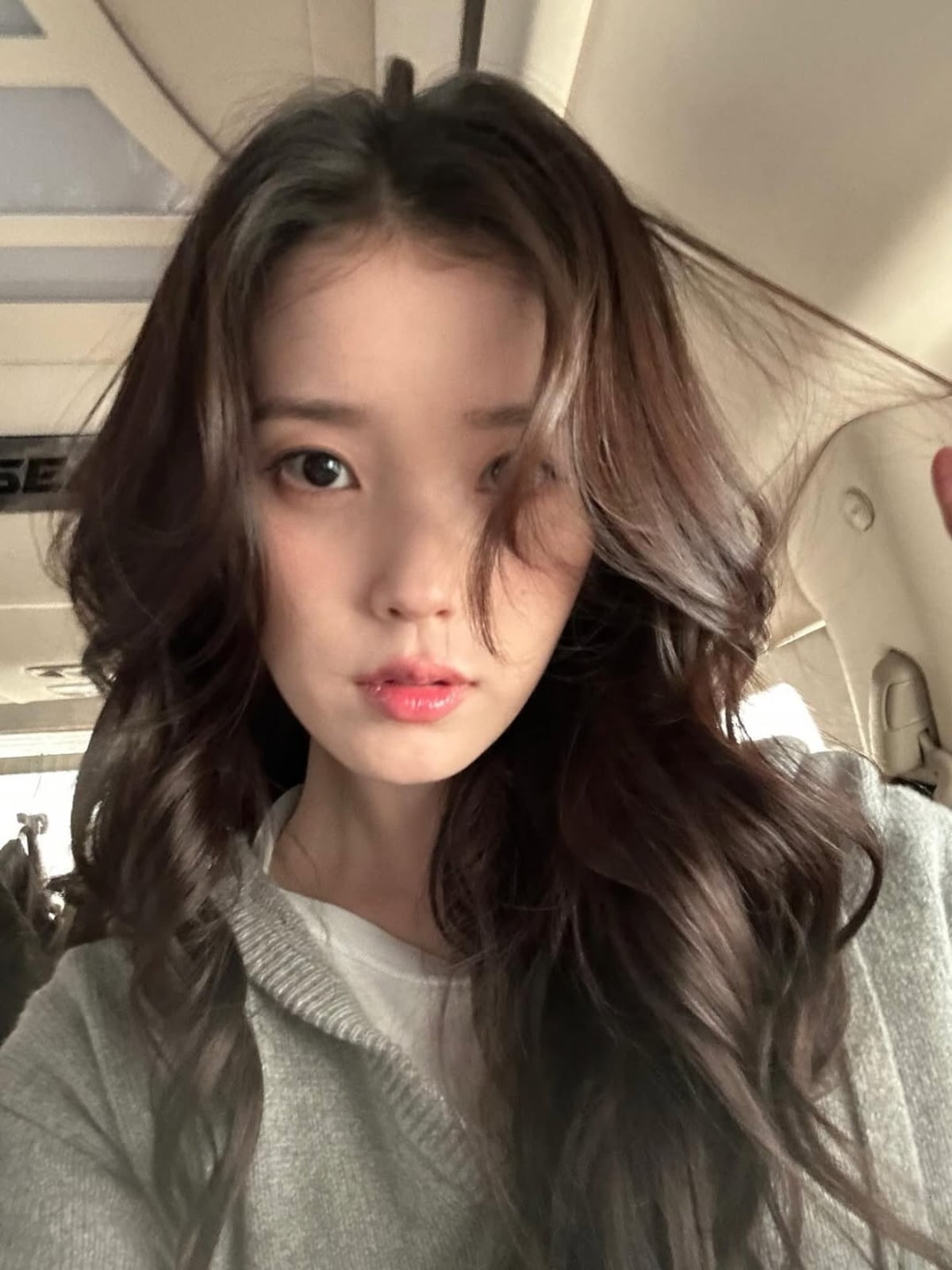 사진 = 아이유 인스타그램