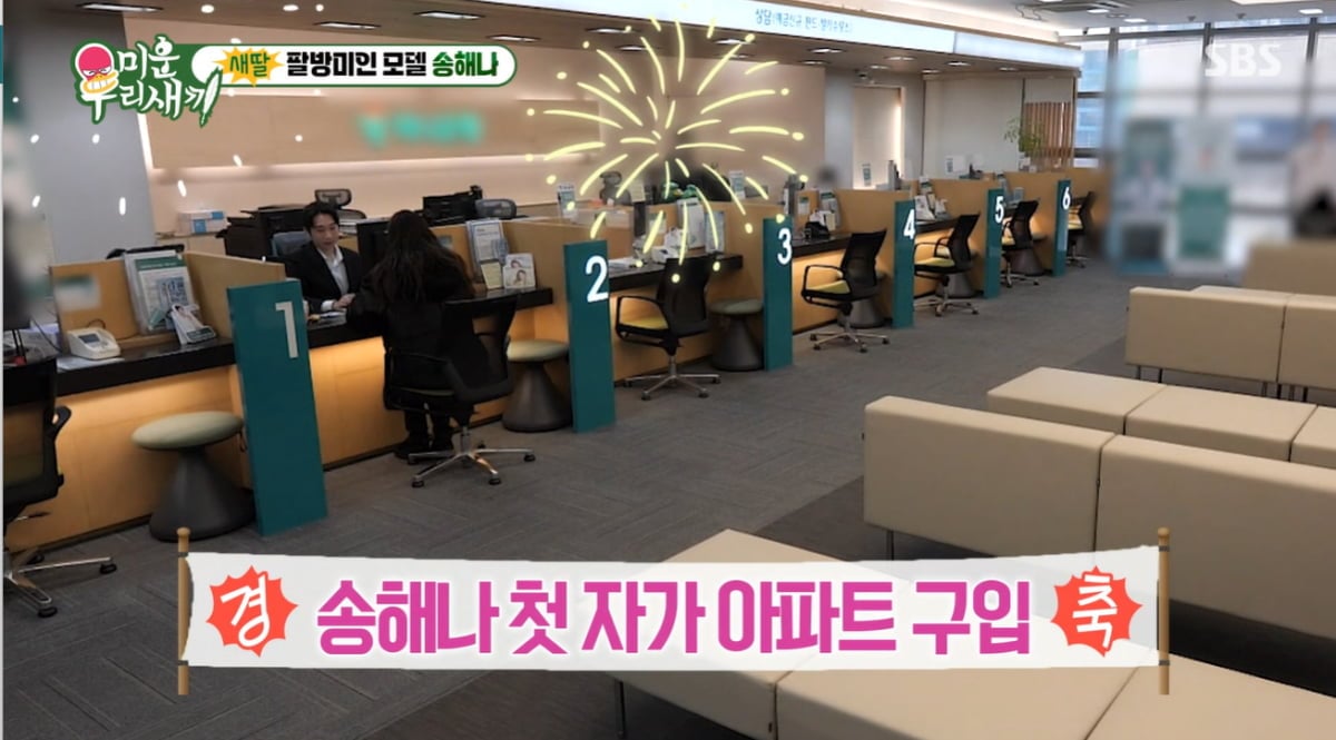 송해나, '40년 만기' 주담대 끼고 산 아파트 보니…침실은 모던, 옷방은 화려('미우새')