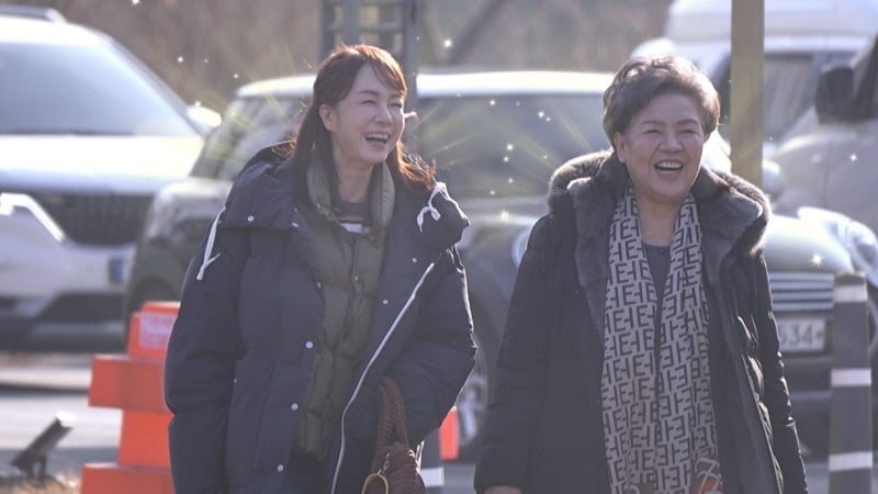 황신혜의 같이 삽시다