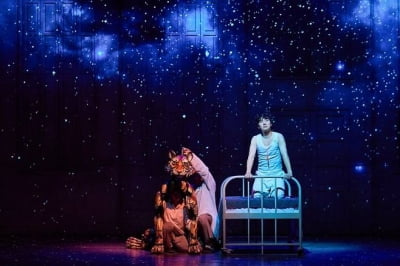 [공식] 취소된 '라이프 오브 파이', 원성에 응답했다…"16일 동일 좌석으로 재공연"