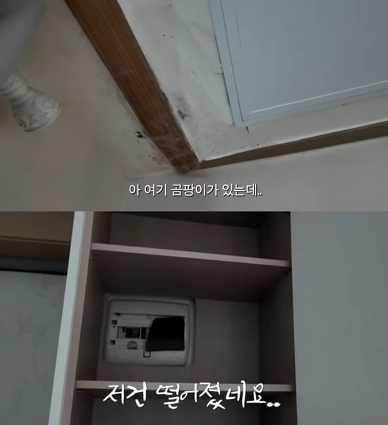 사진 = 유튜브 채널 '경혜볼래' 캡처