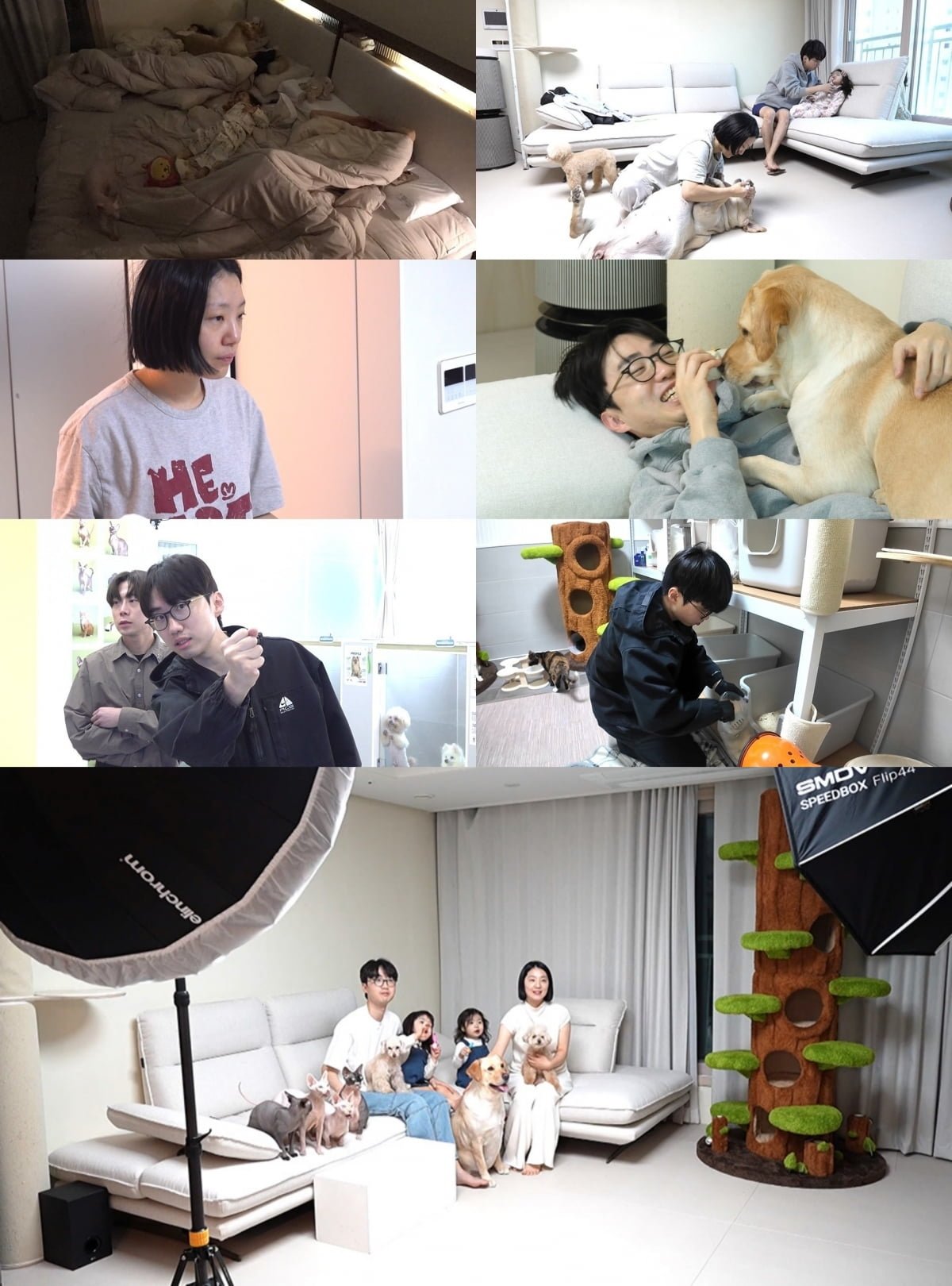 유명 유튜버, 충격 내연관계 드러났다…아내가 밀회 폭로 "둘이 부부 관계" ('전참시')