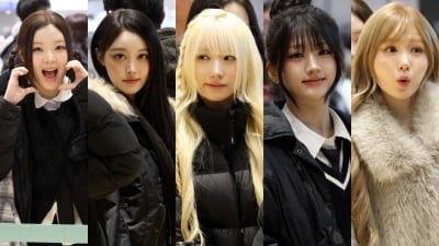 세이마이네임, 아기 고양이들 일본으로 슝 [TV10]