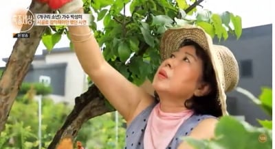 '개구리 소년' 박성미, 곗돈 사기에 3억 잃고 돌연 산속 생활…"내 마지막 터전" ('특종세상')