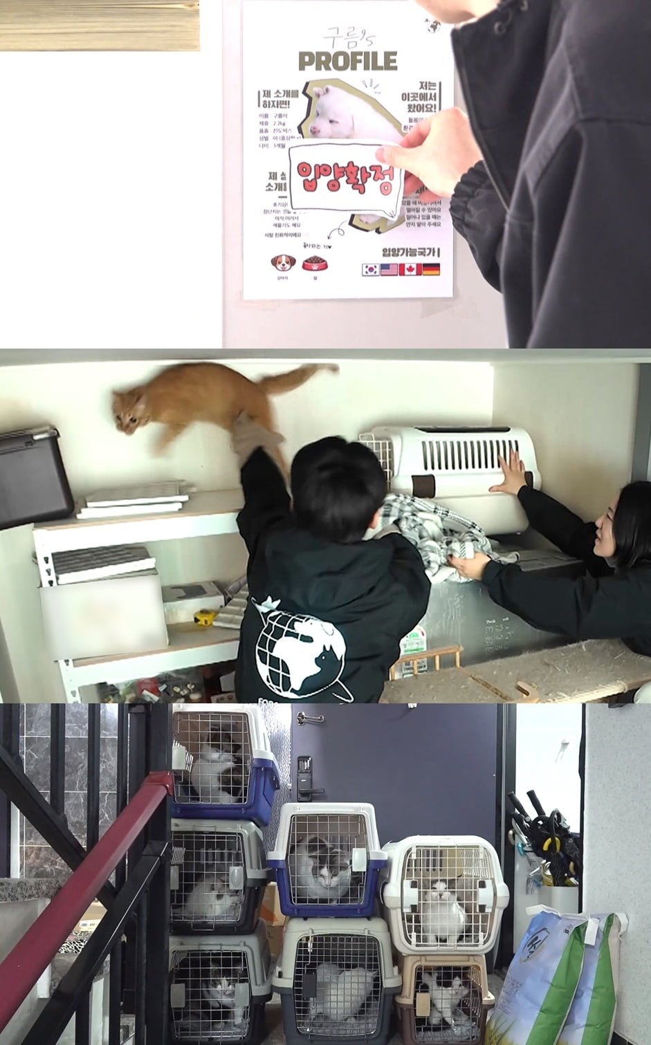 촬영 중 유혈 사태 터졌다…치료비만 2억, 오물과 악취로 가득 "입양 비밀로" ('전참시')