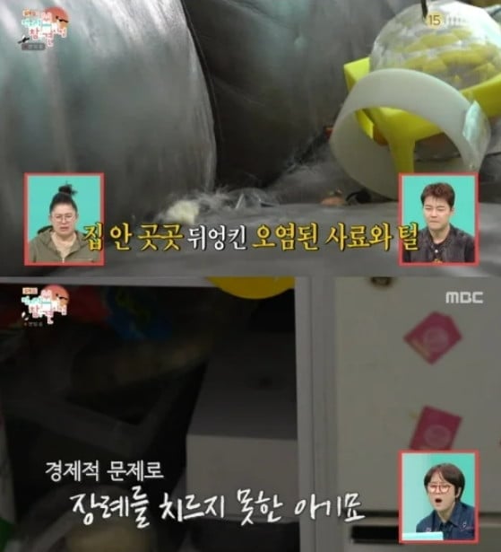 사진='전지적 참견 시점'