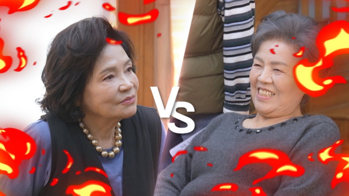 황신혜 모친, 딸 이혼 21년 만에 심경 고백했다…"손녀 상처 받을까봐"('같이삽시다')