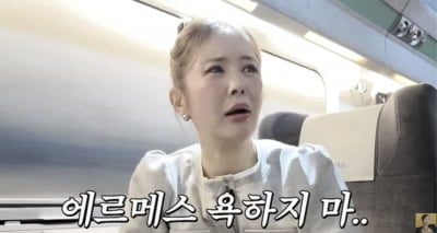 장영란, 명품백 구매 거절당했던 H사서 '플렉스'…"이것 저것 사야 살 수 있다고"