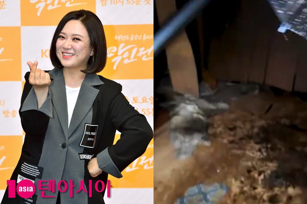 사진=텐아시아DB, tvN