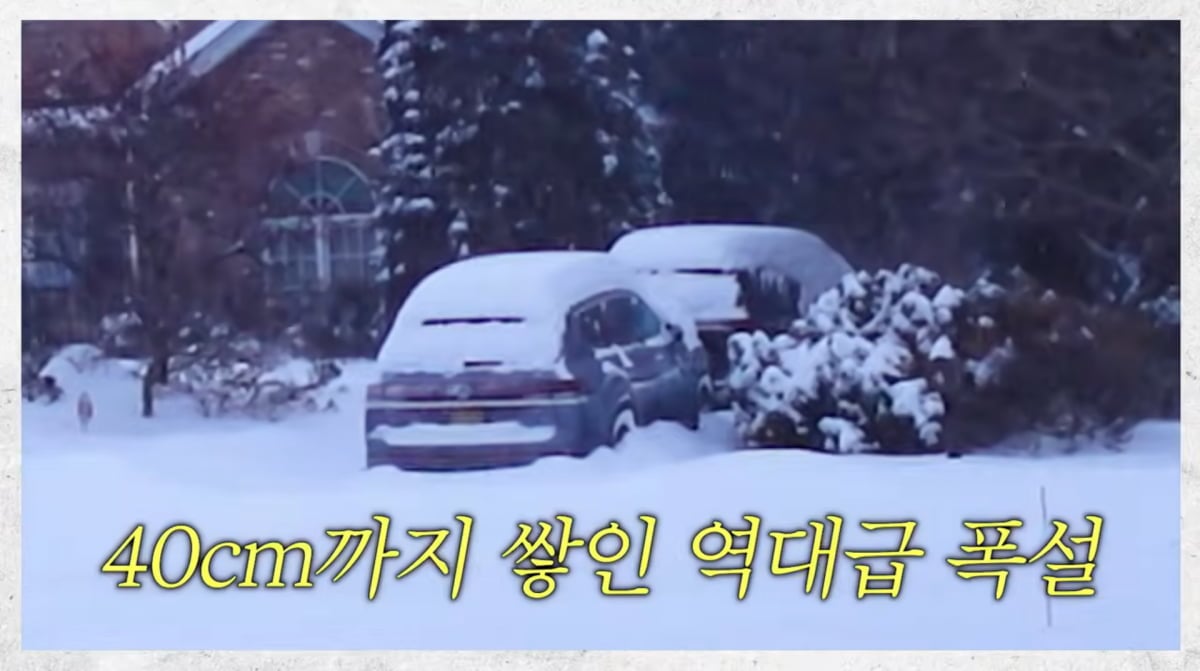 사진=손태영 유튜브