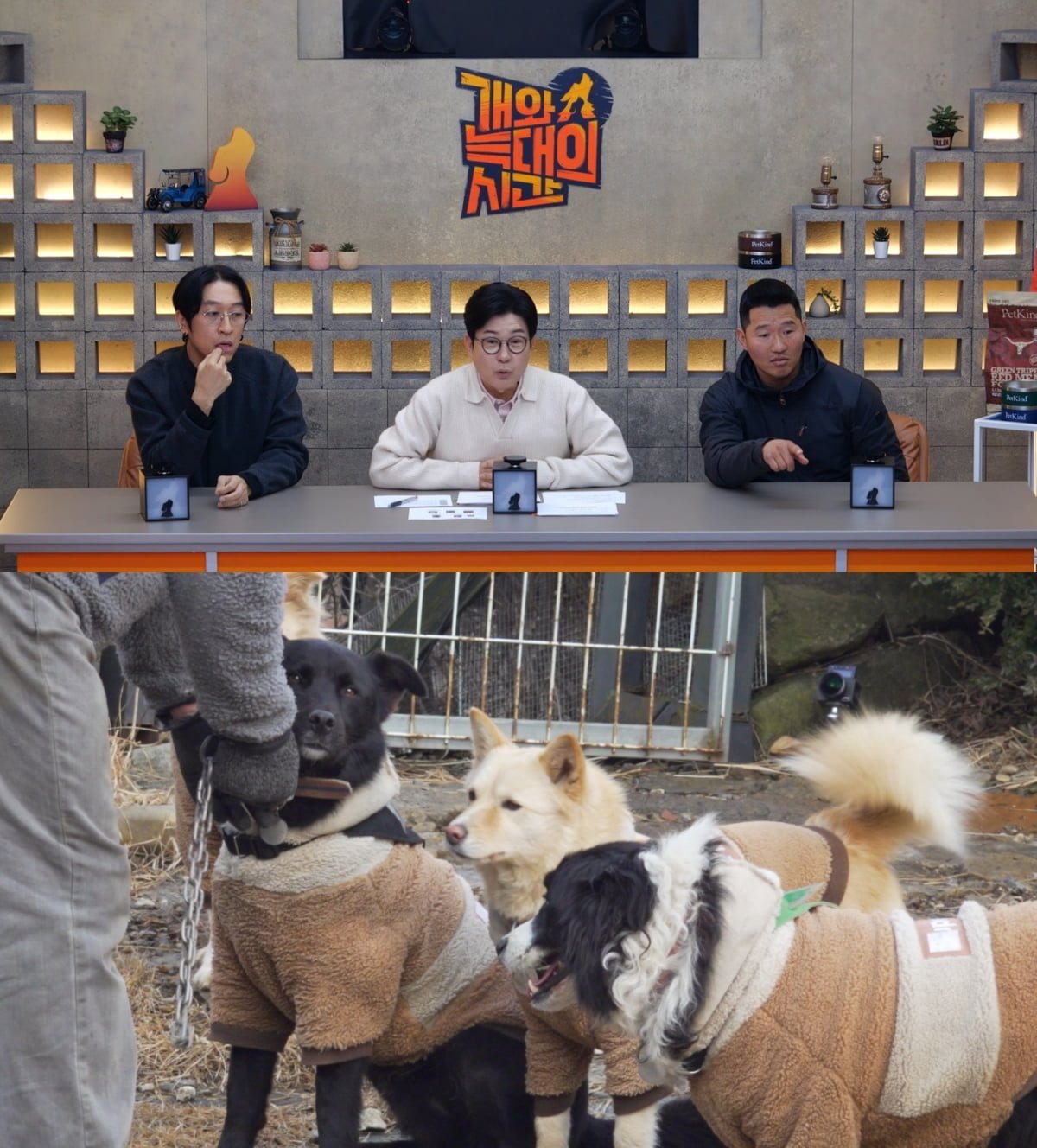 빽가, 사고로 가족 잃었다…"들개 무리에 물려" 충격 고백 ('개늑시2')