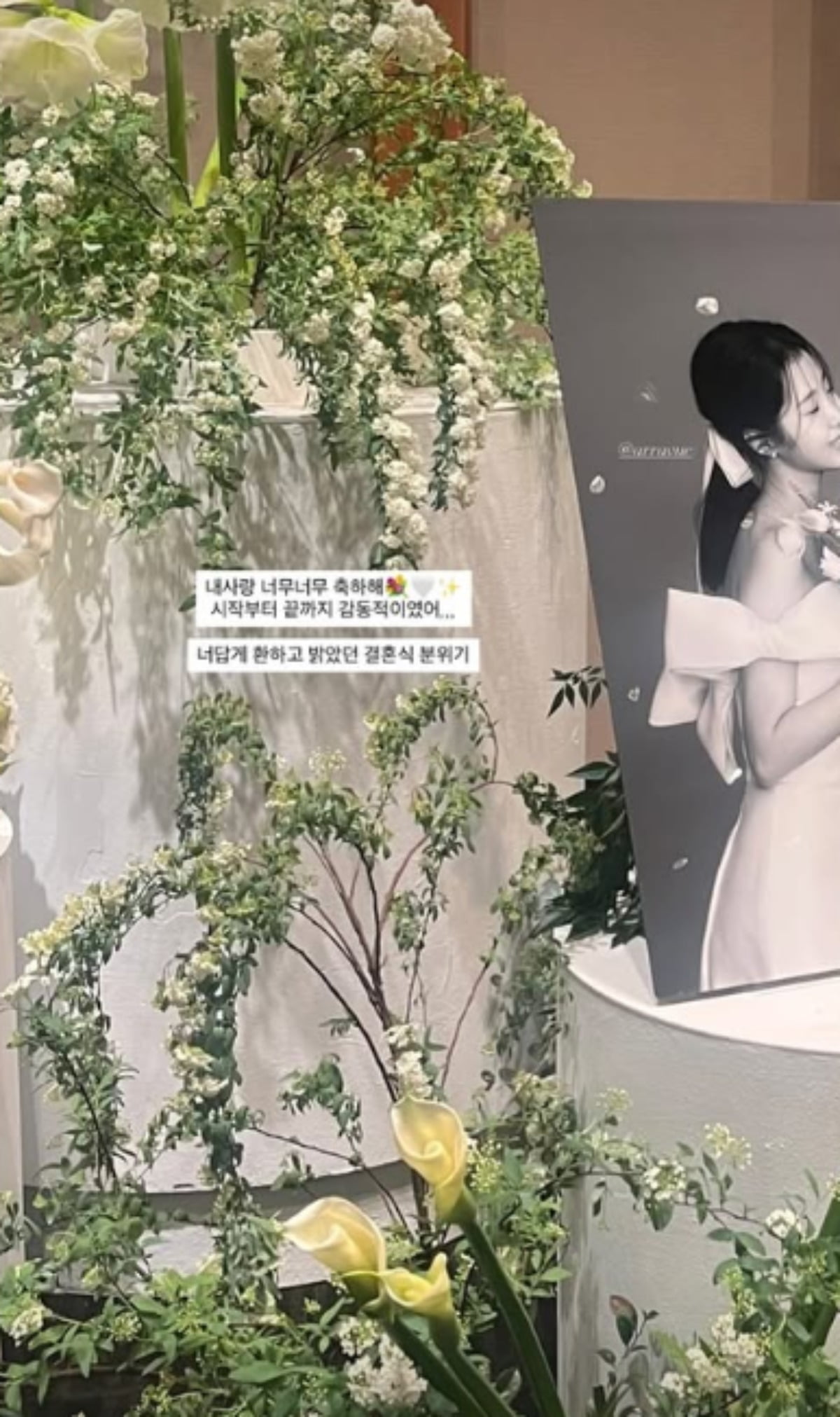 윤영경, ♥남창희와 결혼식 현장 직접 공개했다…'한강 아이유' 뒤태