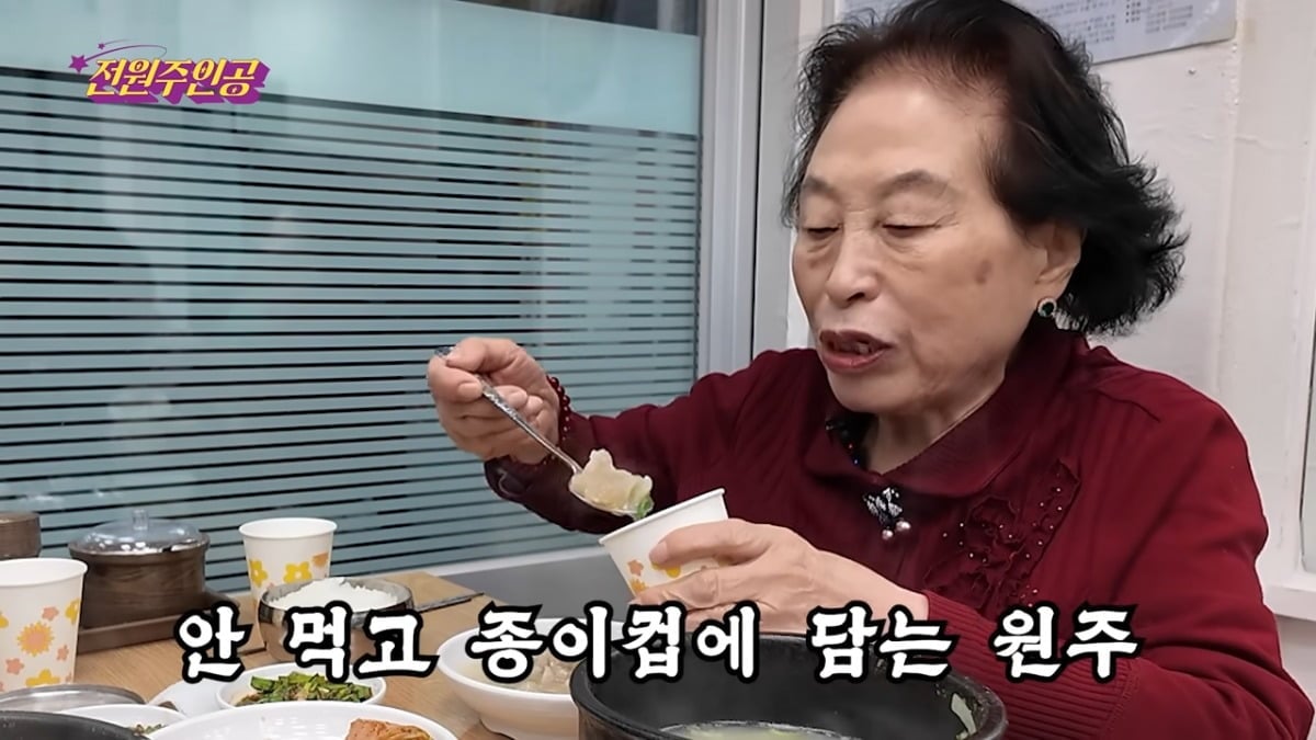 사진 = 유튜브 채널 '전원주인공' 