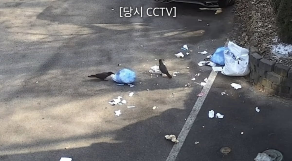 사진=유튜브 채널 '어떠신지?!?'