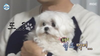 '나혼산' 꽃분이 추모 회차, 끝내 시청자들 울렸다…금요일 전체 프로그램 시청률 1위 [종합]