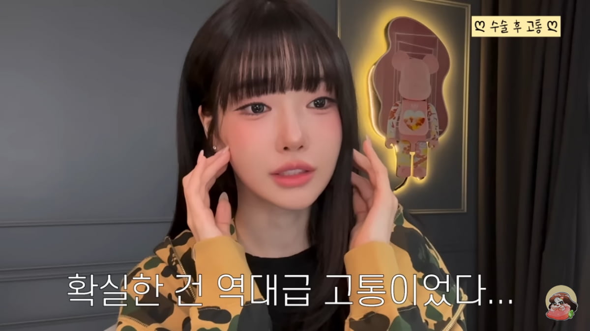 과즙세연, 연 30억원 번다더니…윤곽 3종 수술하고 소두 자랑