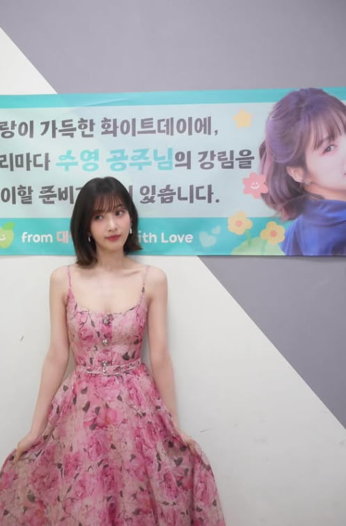 조이, 가슴뼈까지 앙상해…최소 10kg는 빠졌을 듯한 다이어트