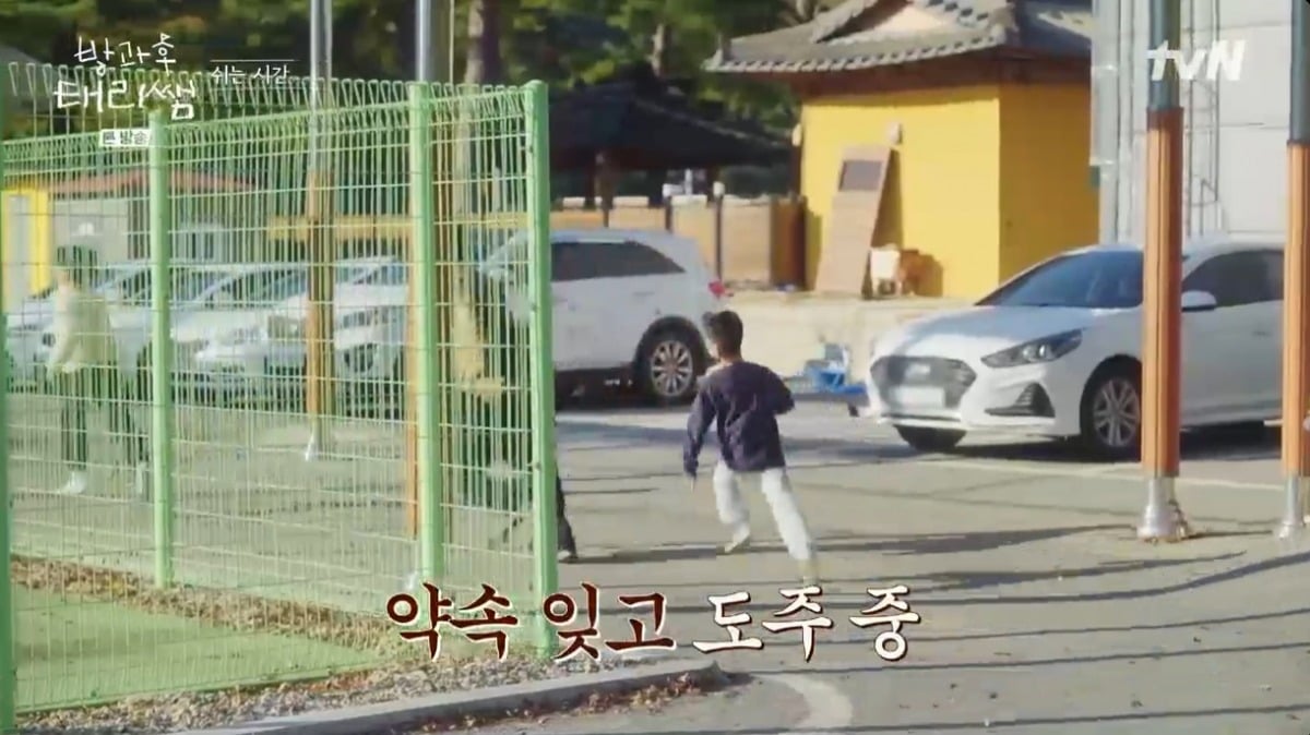 사진 =  tvN '방과후 테리쌤'