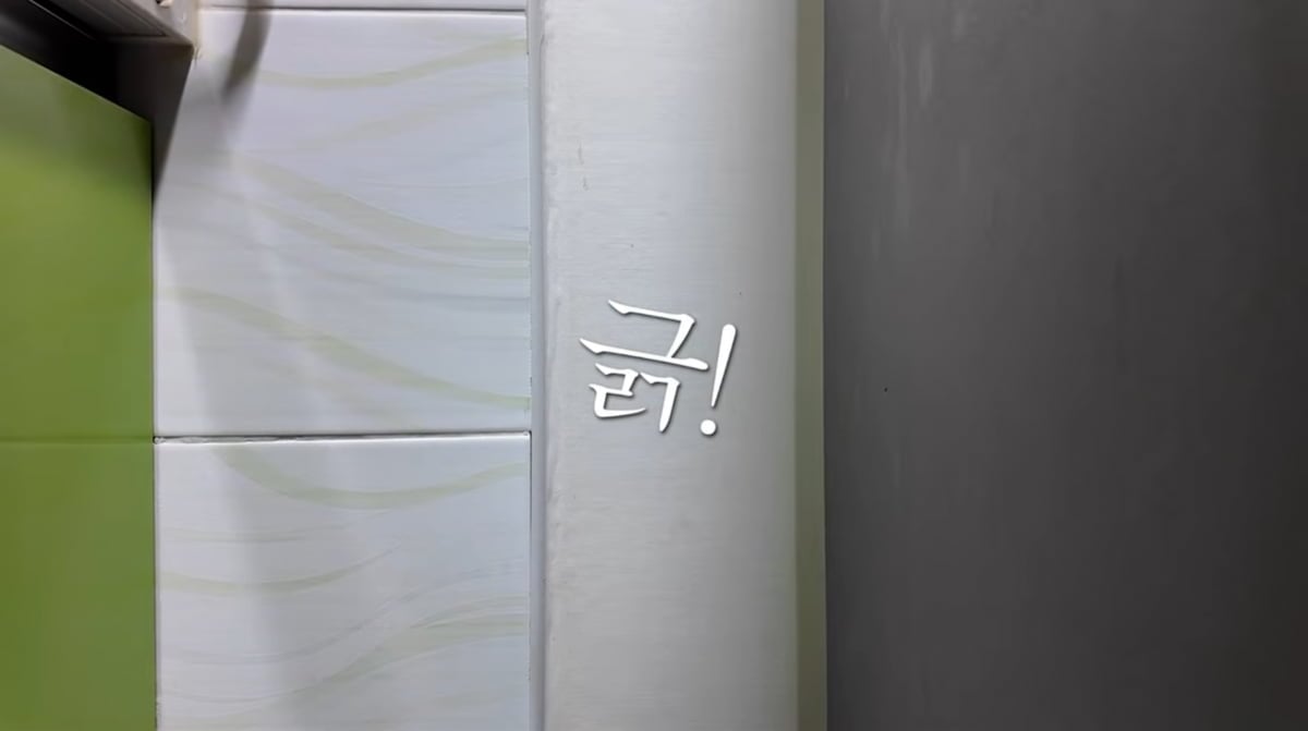 사진=박경혜 유튜브