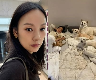 "개판이네"…이효리, 집 공개했다가 전국 '다견가정' 들고 일어날라