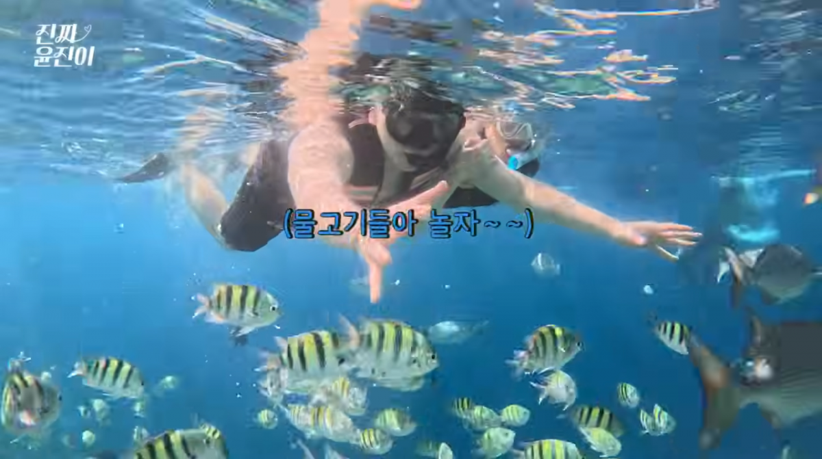 사진=윤진이 유튜브