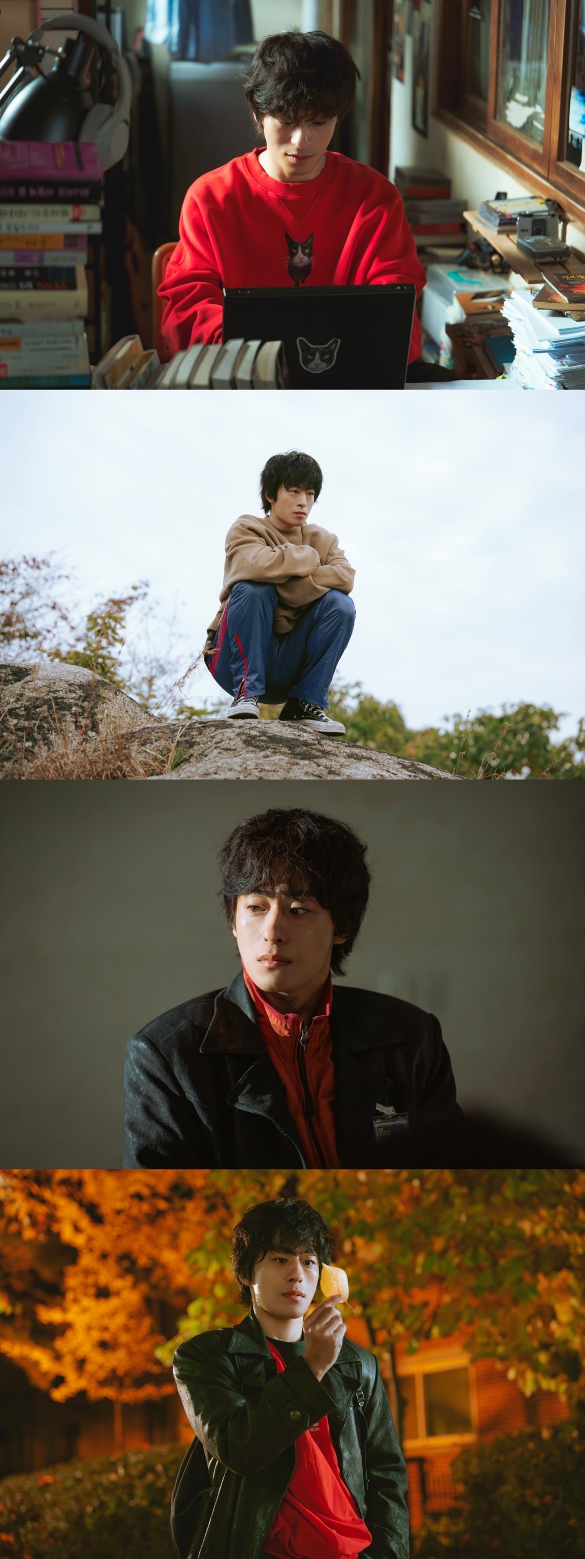 사진제공=스튜디오 피닉스·SLL·스튜디오 플로우