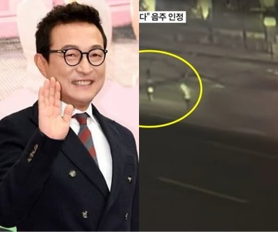"음주 들킬까 오히려 속도 높여"…이재룡, CCTV 확인했더니 중앙분리대 다 부숴놔