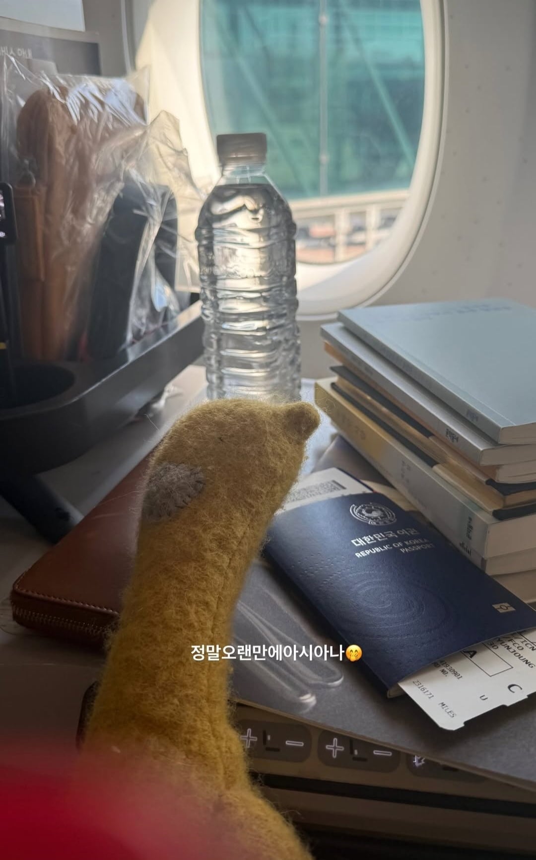 사진=고현정 SNS