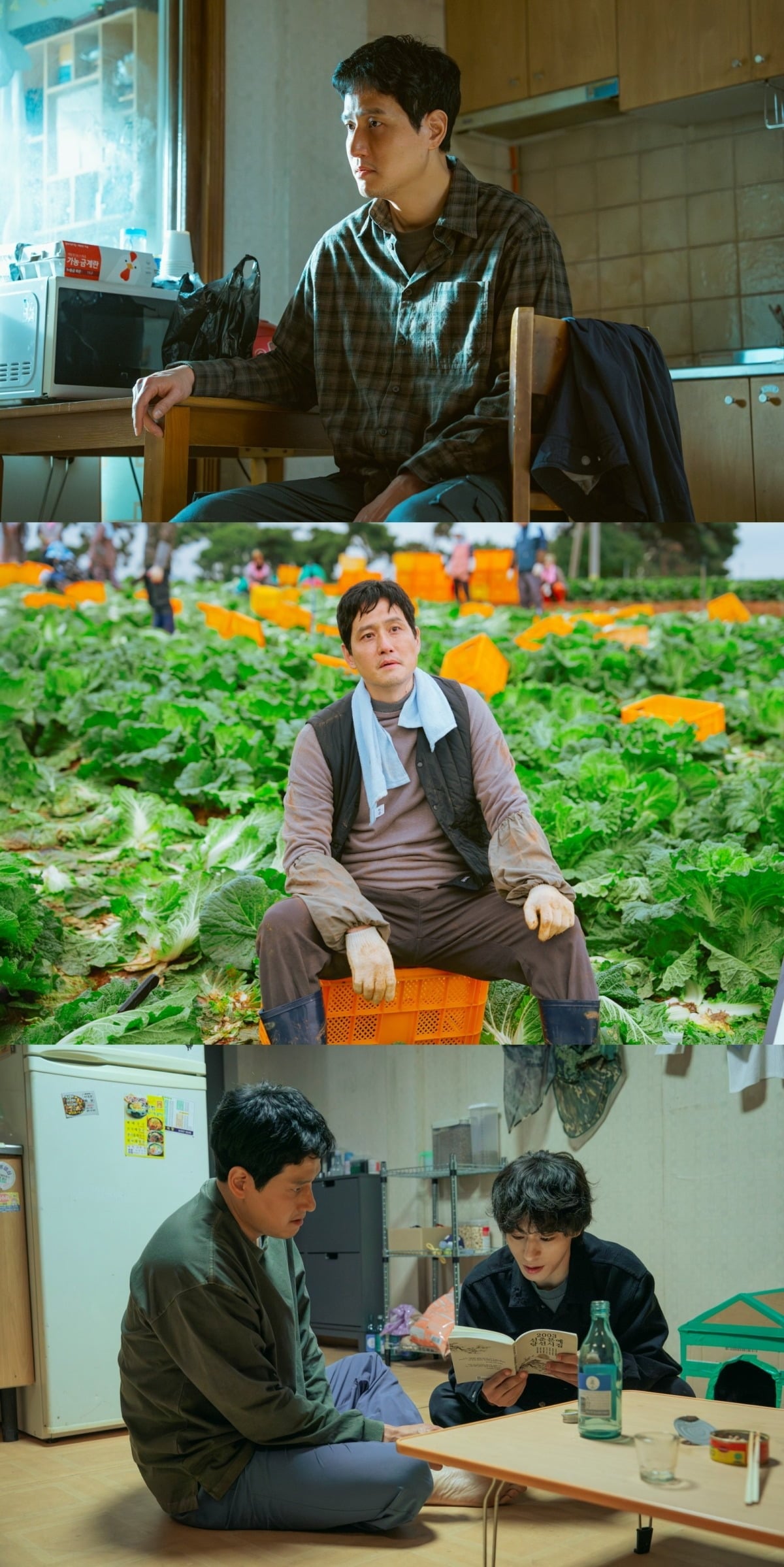 사진제공=스튜디오 피닉스·SLL·스튜디오 플로우