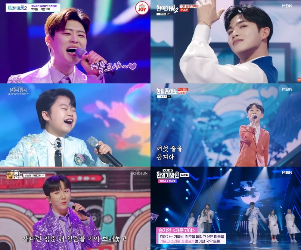 [사진 출처 : TV CHOSUN ‘금타는 금요일’, ‘미스터트롯2’, MBN ‘현역가왕2’, ‘한일톱텐쇼’, ‘2025 한일가왕전’, KBS 2TV ‘불후의 명곡’]