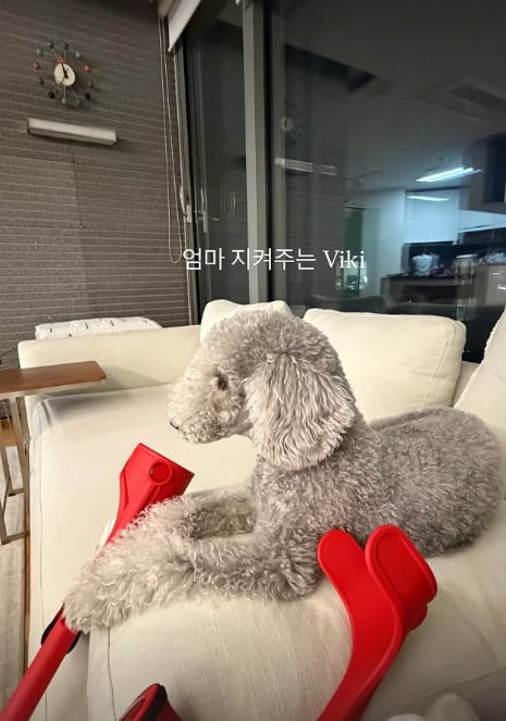 사진=엄지원 SNS