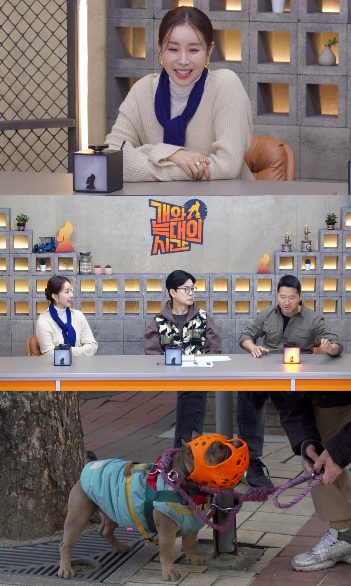 한다감, 1000평 한옥집 산다더니…리트리버 두 마리 키워, 감금견에 경악 ('개늑시2')