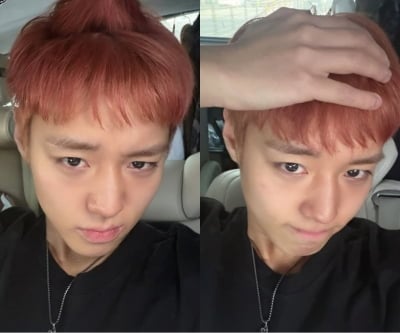 4월에 노래 부를 단종 오빠, 색칠된 머리에 뿔 잔뜩났다…궁녀 매화도 놀랄듯