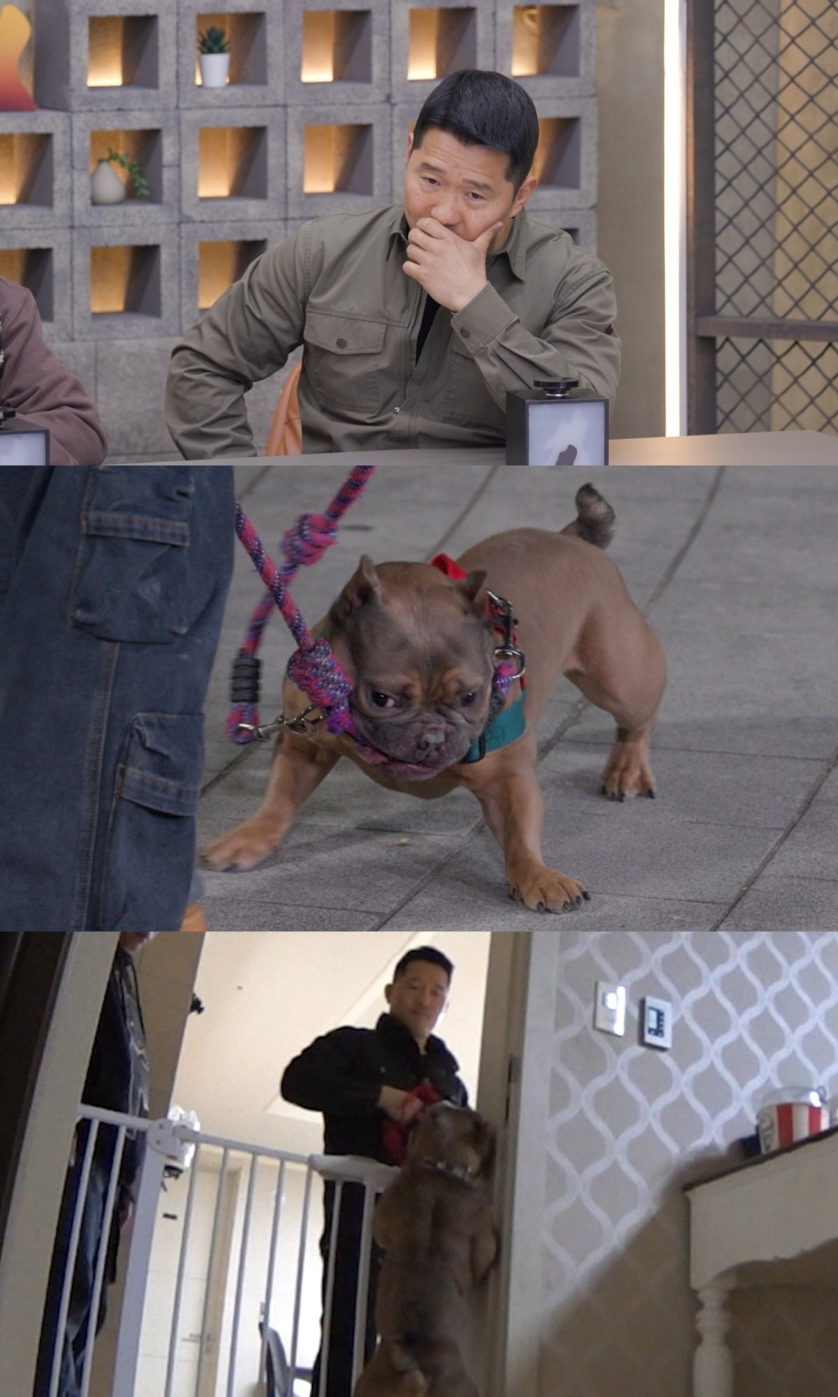 강형욱 훈련사가 강아지들을 훈련하고 있다. / 사진제공=채널A