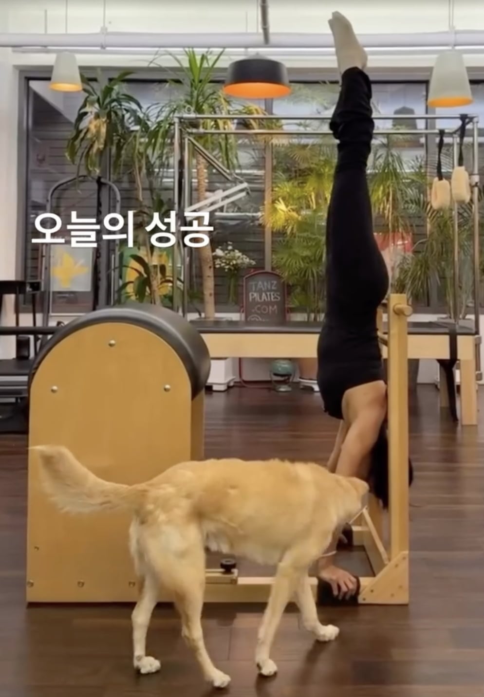 엄정화 / 사진 = 엄정화 SNS 캡처