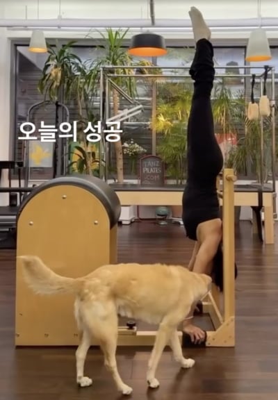 56세 엄정화, 서핑 여행 중 부상 당했지만 멈출 수 없는 자기관리…필라테스 성공