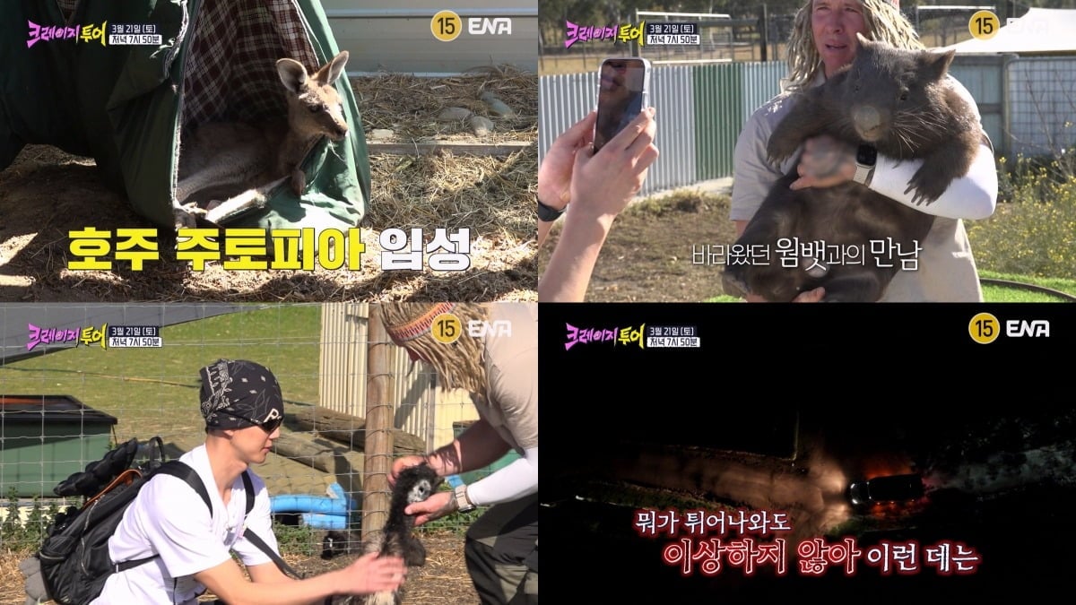 호주로 떠난 '크레이지 투어' 멤버들 / 사진제공=ENA