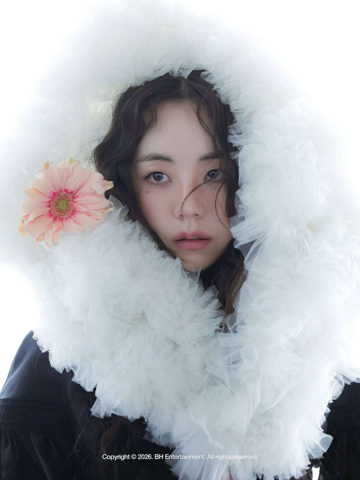 
원더걸스 출신 배우 안소희가 풀뱅 헤어스타일의 파격적인 콘셉트 화보를 공개해 2007년 데뷔 시절을 연상시킨다는 평을 받으며 화제를 모으고 있다. 사진 = 안소희 인스타그램