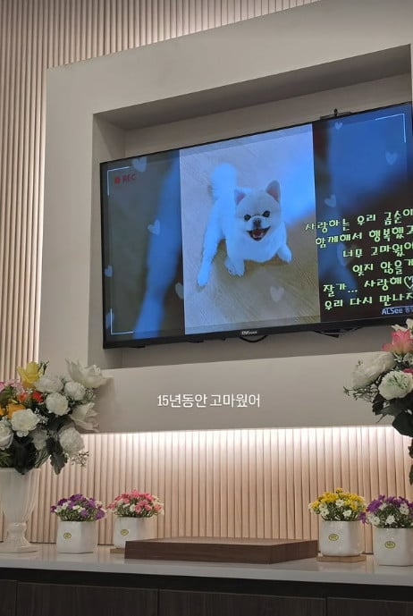 유튜버 풍자가 자신의 반려견을 떠나 보낸 후 장례를 치르고 있다. / 사진=풍자 SNS