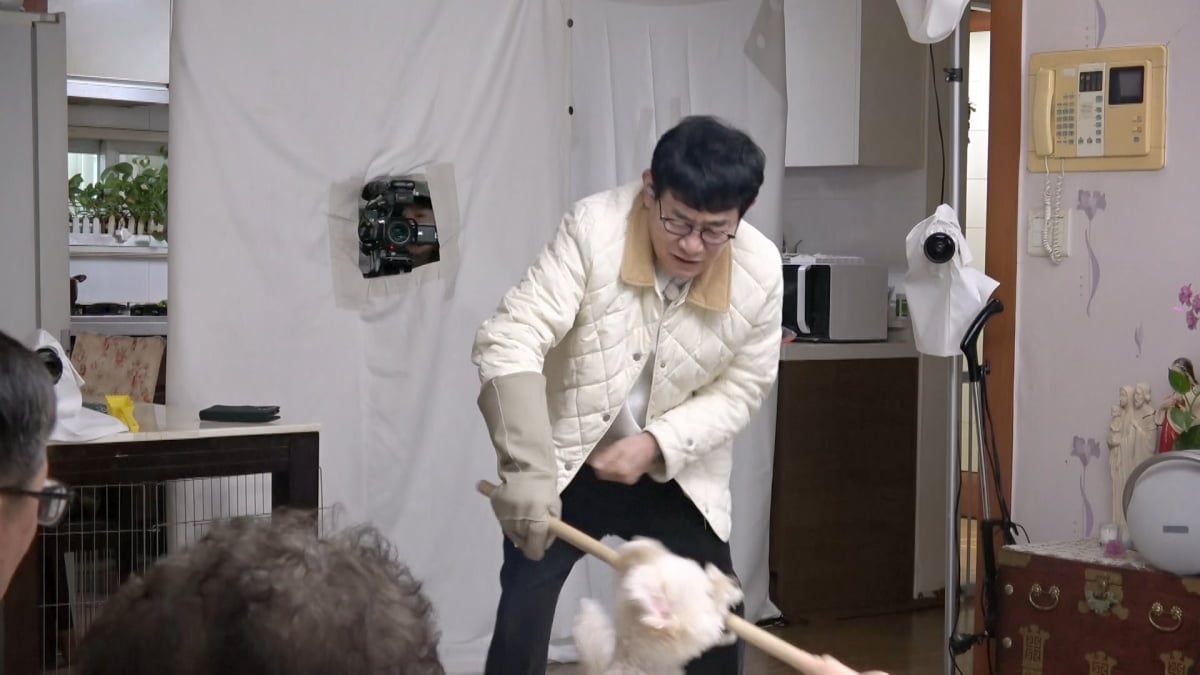 치매 할머니 손가락을 절단시킨 푸들 '동동이'의 안락사 위기 사연과 훈련사의 필사적인 교정 과정이 공개된다. 사진 제공=KBS 2TV 