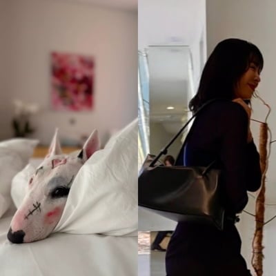 반려견 학대 의혹 불거졌는데…이혜영, 채정안과 쇼핑 삼매경