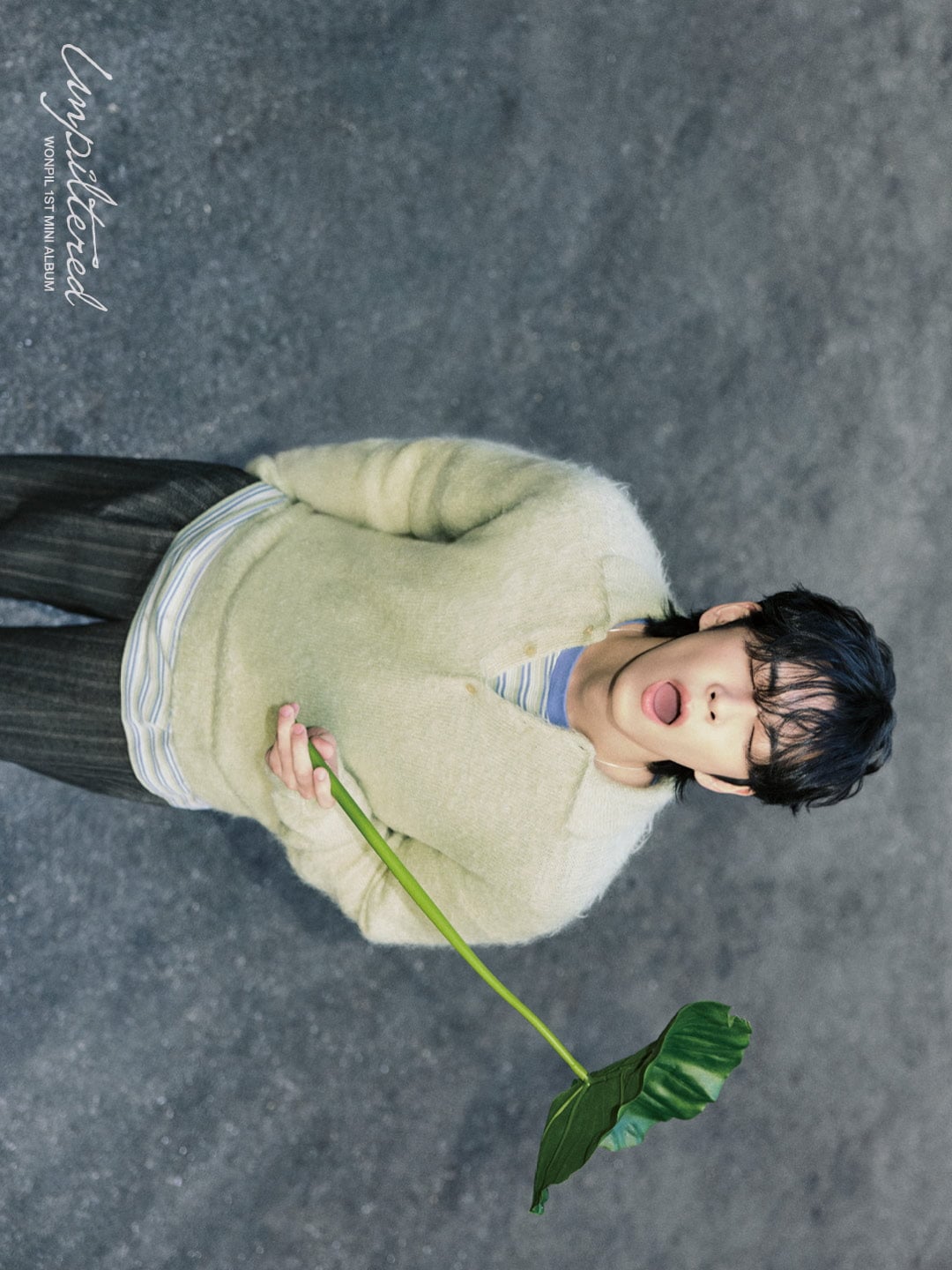 DAY6 원필/ 사진 제공=JYP엔터테인먼트