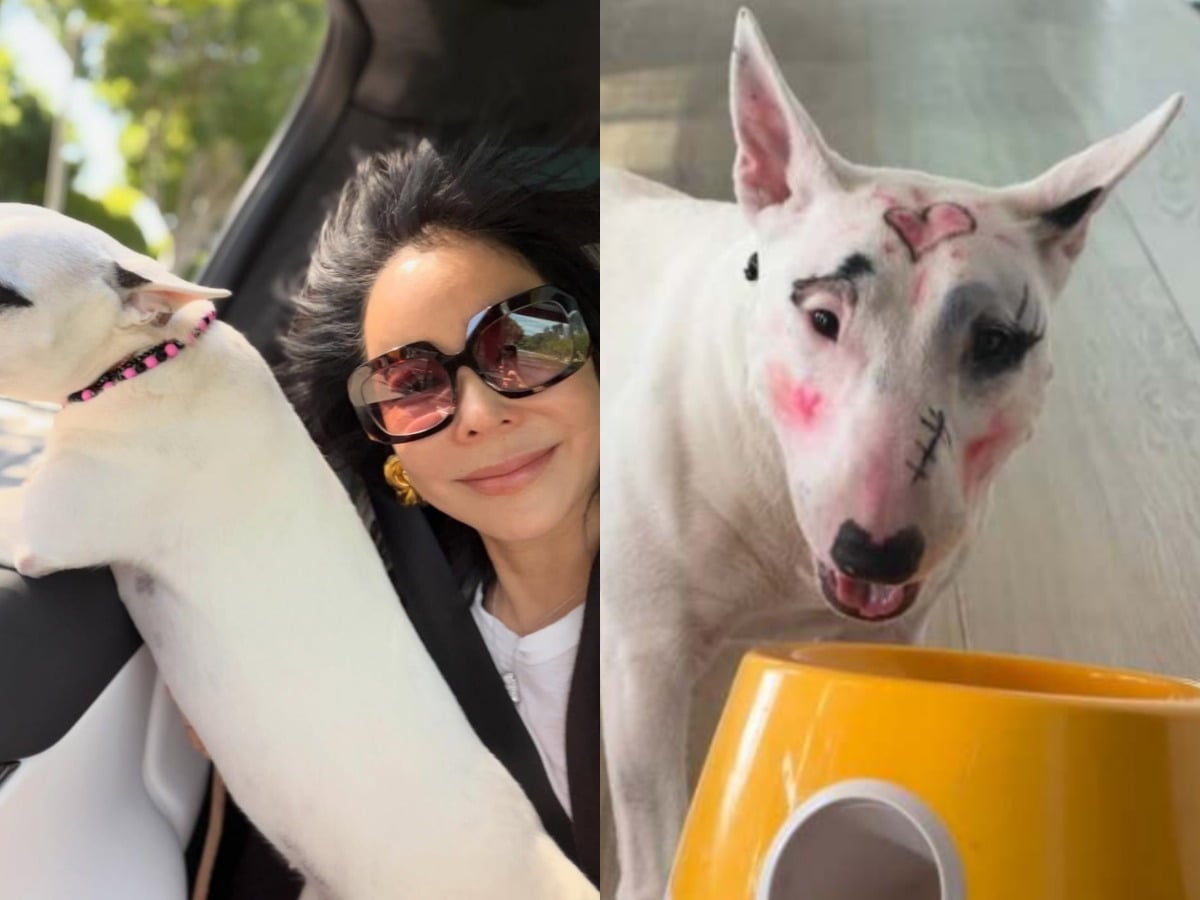 이혜영이 동물 학대 논란에 휩싸였다. / 사진=이혜영 SNS 캡처