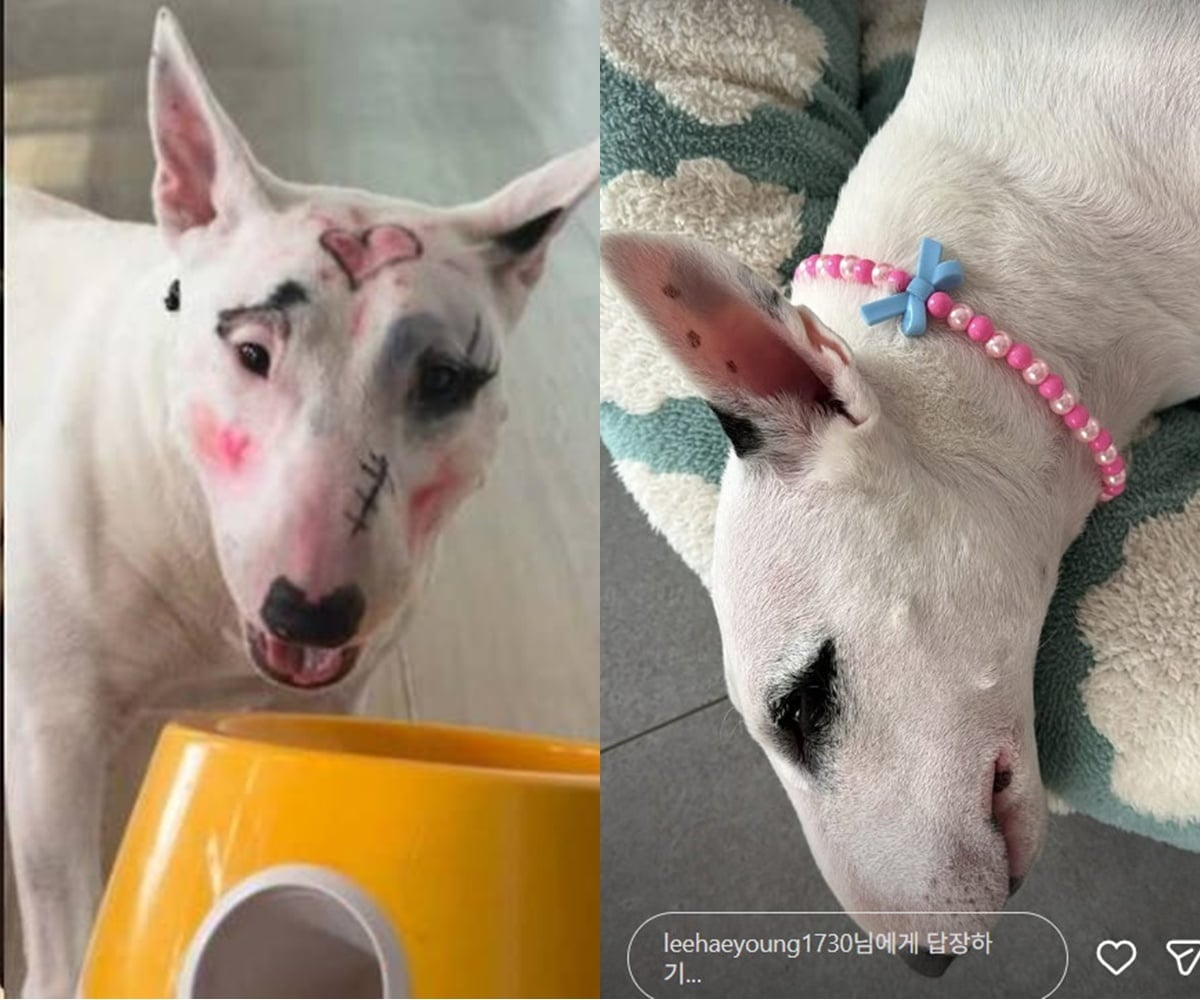 사진=이혜영 SNS