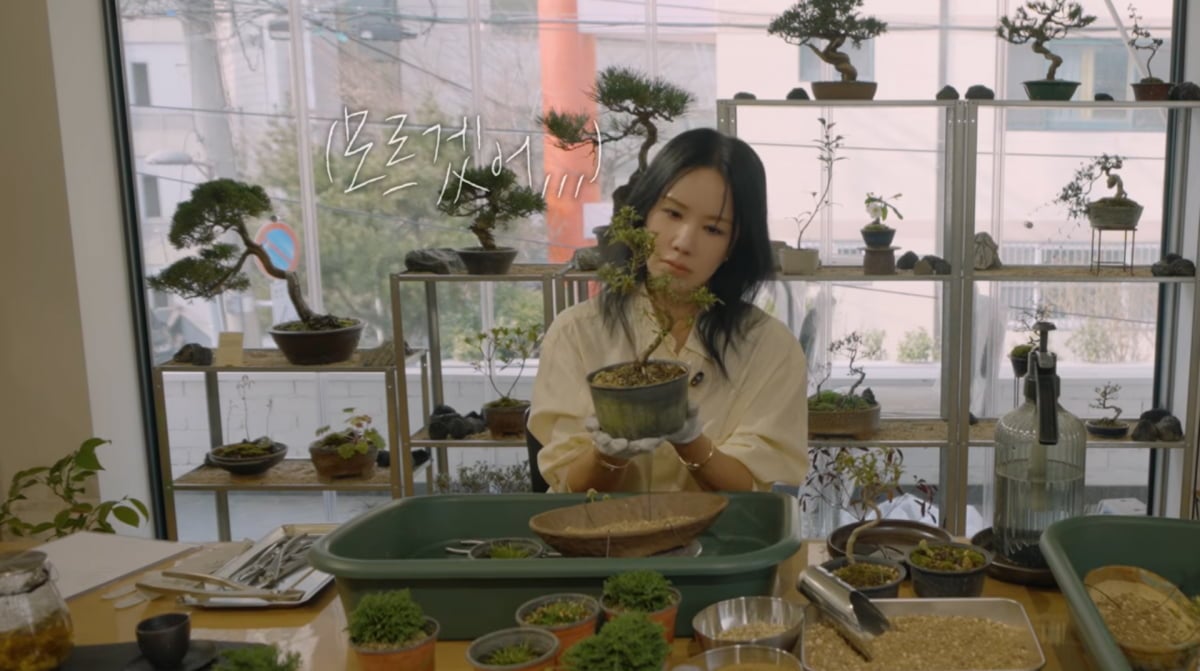 사진=유튜브 '엄정화TV'